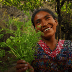 A woman is smiling with her teeth showing as she displays coriander crop in her hand.