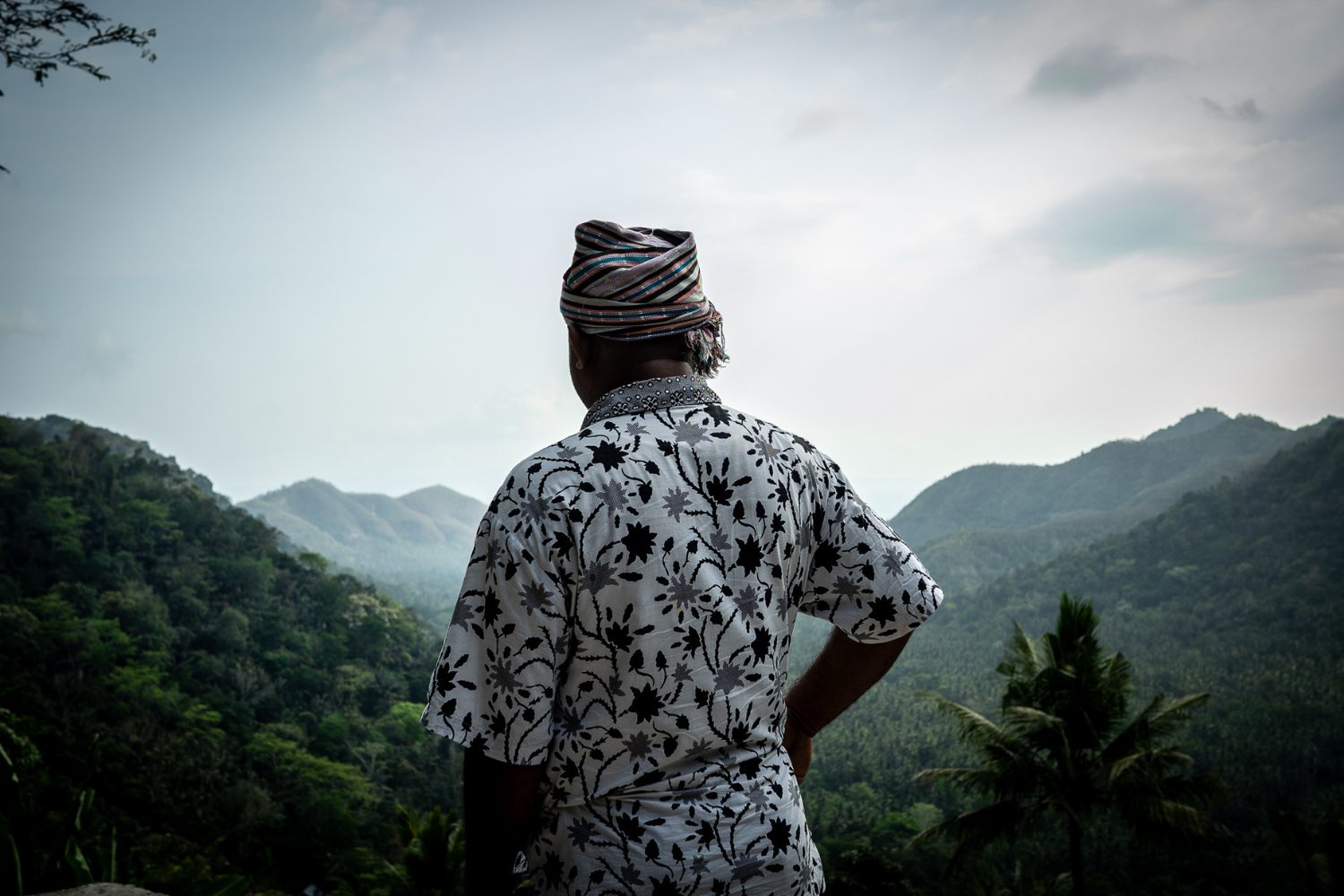 A figure photographed from the back, looking out onto a lush green landscape.