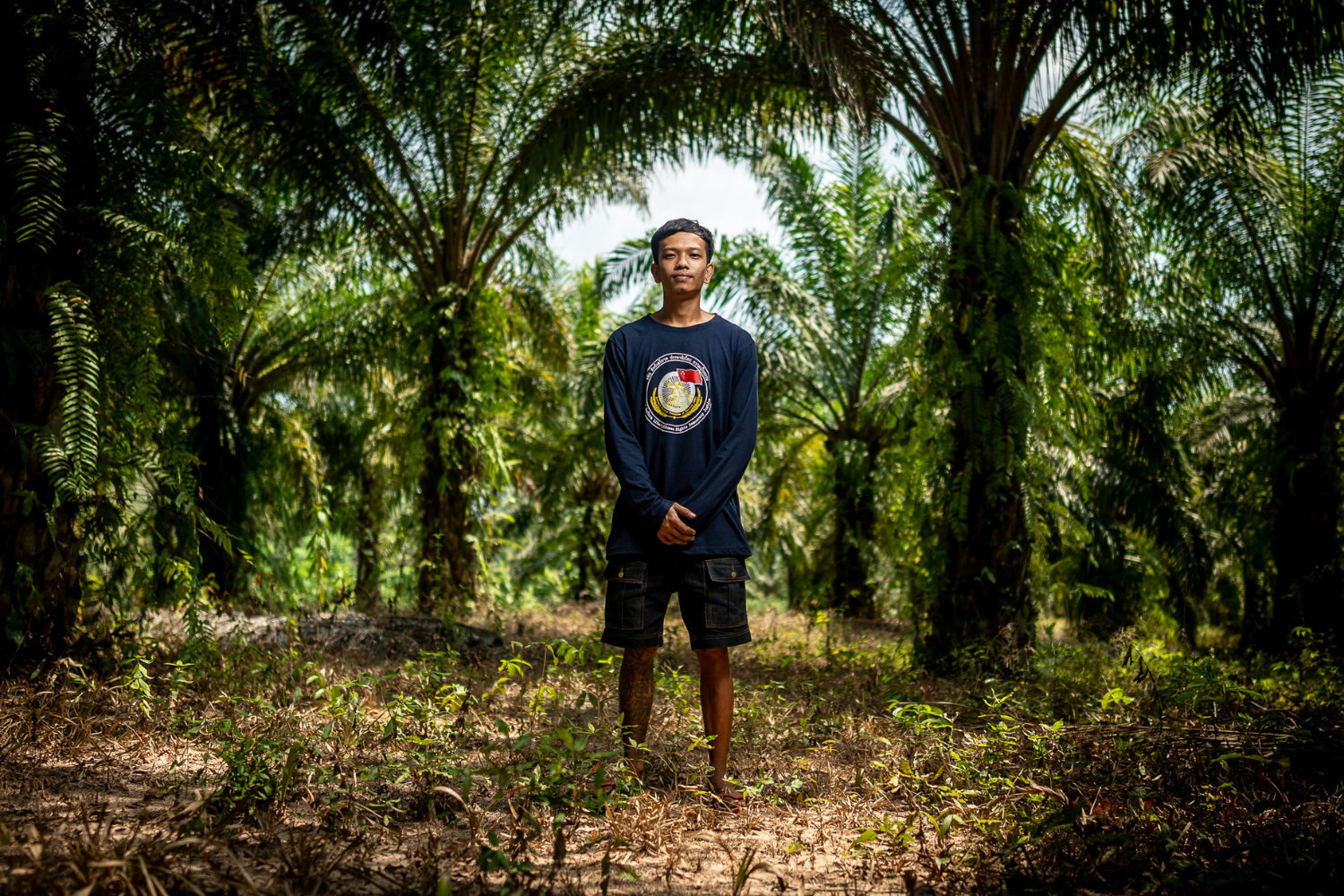 A youth figure standing in a lush green landscape of palm trees.