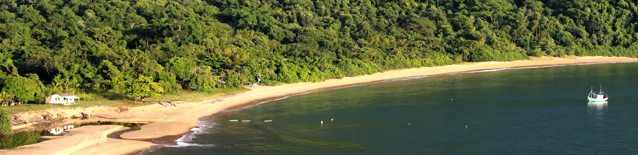 Tropical scape of a lush forest, sandy beach, and blue water.