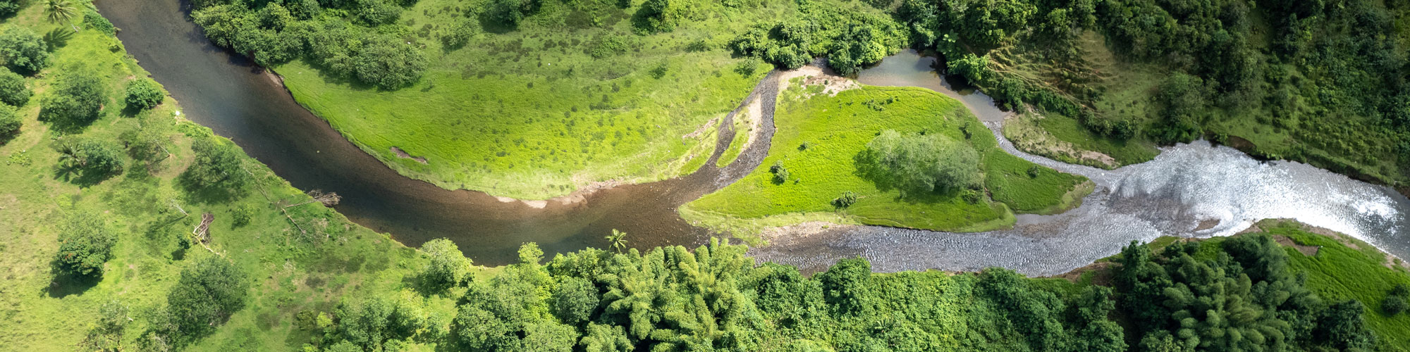 Lush green landscape with a river running through it