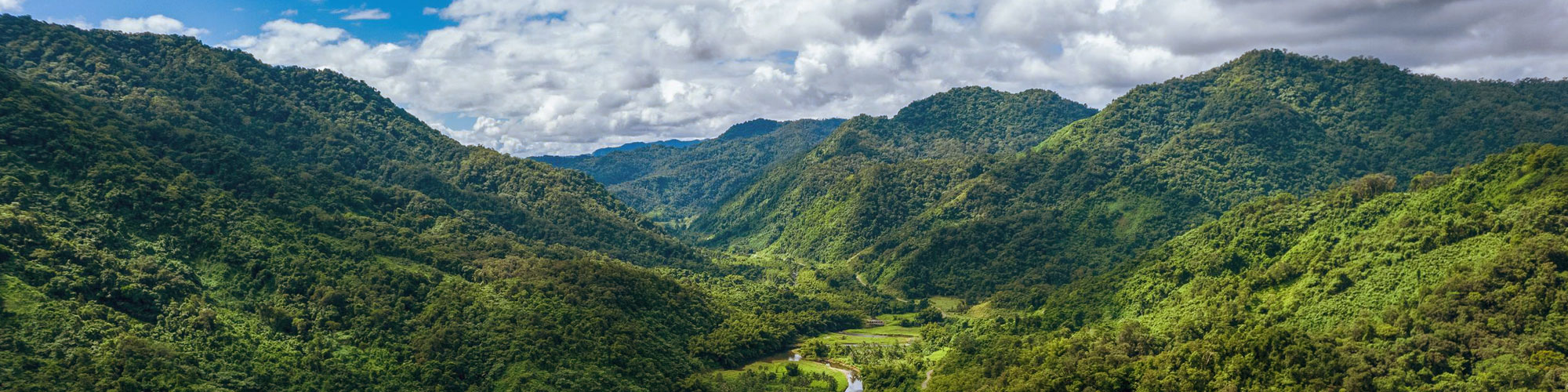 Lush green mountainscape