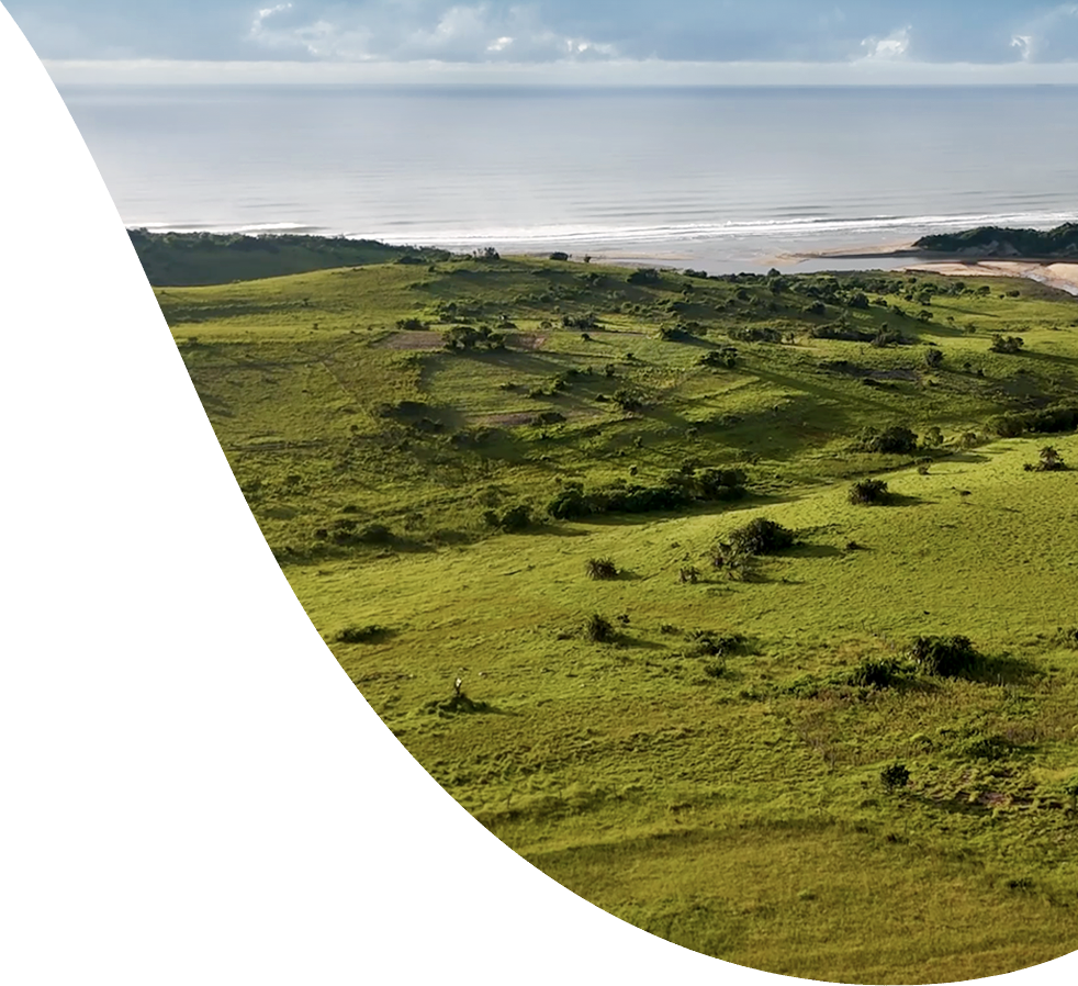 Ocean landscape in South Africa