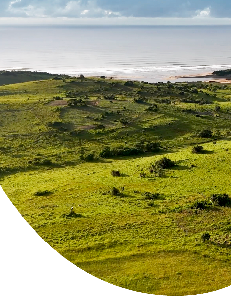 Ocean landscape in South Africa